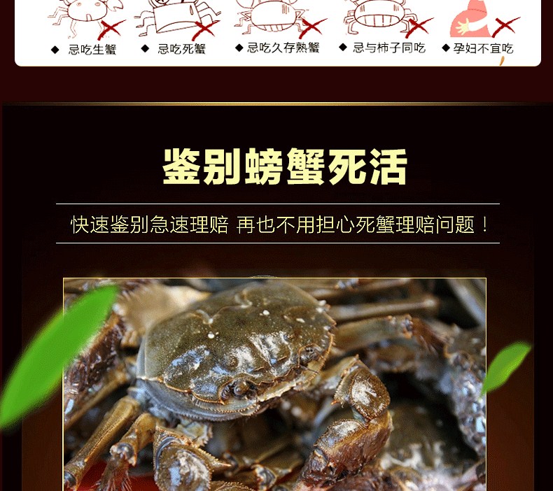 肥王大閘蟹 陽澄湖大閘蟹公蟹6.0兩 母蟹4.0兩 4對(duì)8只裝包郵(圖20)