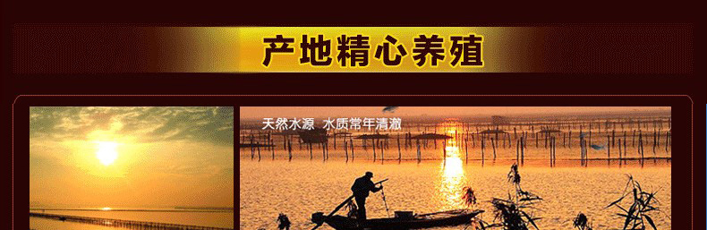 肥王大閘蟹 陽澄湖大閘蟹公蟹6.0兩 母蟹4.0兩 4對(duì)8只裝包郵(圖13)